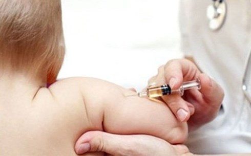 46 người chết vì bệnh dại từ đầu năm đến nay hầu hết đều không tiêm phòng - ảnh 1