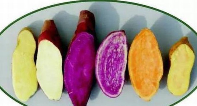 Những đại kỵ khi ăn quả hồng, cần biết để khỏi mang họa - ảnh 3