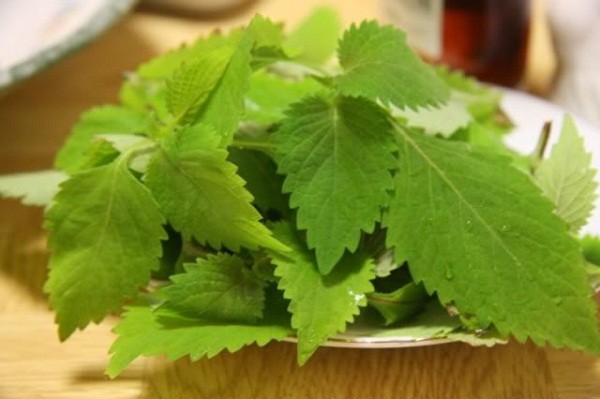 Những món đại kỵ chớ ăn cùng lẩu gà kẻo rước họa vào thân - ảnh 1