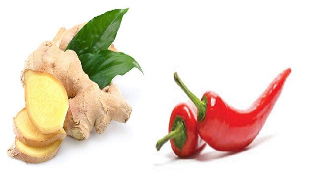 Thực phẩm cực tốt trong ngày Tết với người bị đau xương khớp - ảnh 5