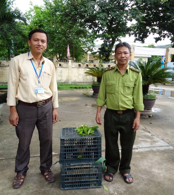 Thả về rừng cá thể voọc chà vá chân nâu cực hiếm - ảnh 1