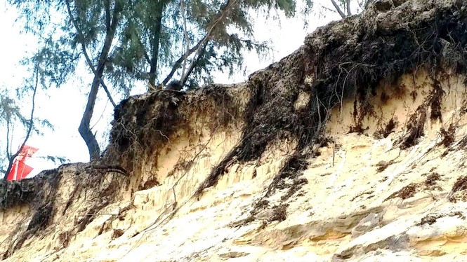 Bờ biển Phú Thuận, TT-Huế, bị xâm thực nghiêm trọng phải di dời dân - ảnh 3