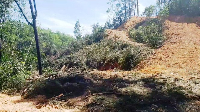 Ủi núi, đốn cây mở cao tốc ‘bẫy người’ đi trên Quốc lộ 1 - ảnh 1