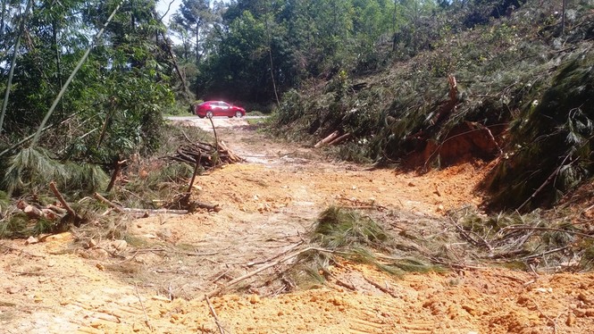 Ủi núi, đốn cây mở cao tốc ‘bẫy người’ đi trên Quốc lộ 1 - ảnh 2