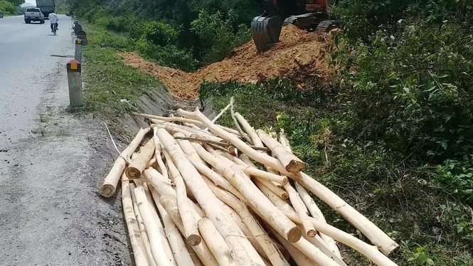 Ủi núi, đốn cây mở cao tốc ‘bẫy người’ đi trên Quốc lộ 1 - ảnh 13