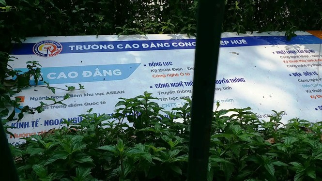 Chuyển giao nửa vời, cơ ngơi tiền tỷ cơ sở 3 Trường CĐ Công nghiệp Huế ‘mắc cạn’ giữa… rác - ảnh 2