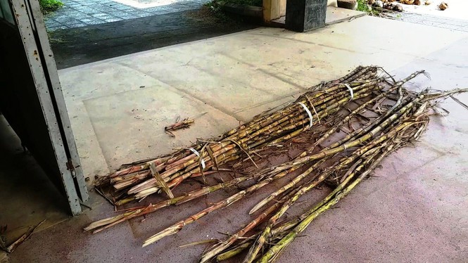 Chuyển giao nửa vời, cơ ngơi tiền tỷ cơ sở 3 Trường CĐ Công nghiệp Huế ‘mắc cạn’ giữa… rác - ảnh 11