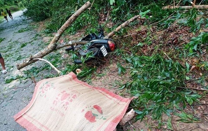 TT-Huế: Sau bão, số người bị thương tăng hơn 4 lần so thống kê ban đầu - ảnh 2