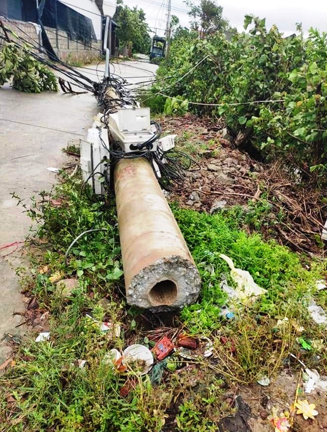 Sau sự cố hơn 400 cột điện gãy đổ do bão: Cấp điện trở lại cho 100% khách hàng - ảnh 2