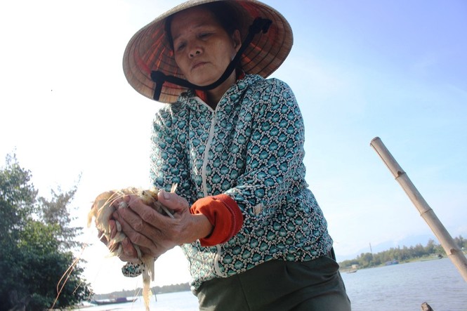 hơn 900.000 tôm chết, nghi bị đầu độc - ảnh 3