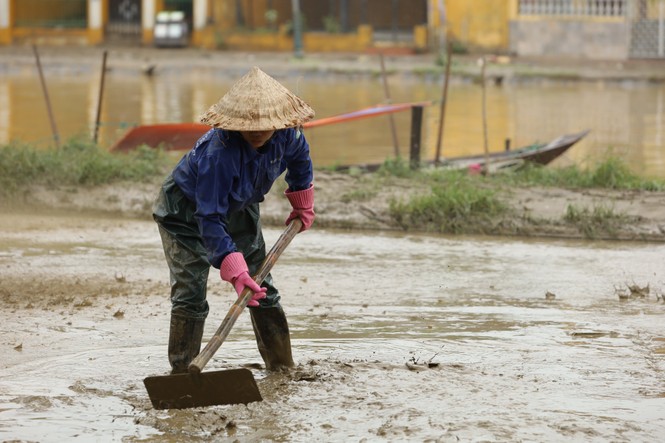 Dọn bùn non ở Hội An sau lũ - ảnh 4
