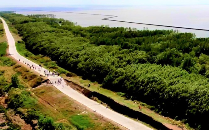 Khô hạn, sụp lở đất kinh hoàng tại Cà Mau - ảnh 4
