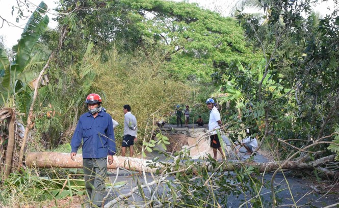 Khô hạn, sụp lở đất kinh hoàng tại Cà Mau - ảnh 2