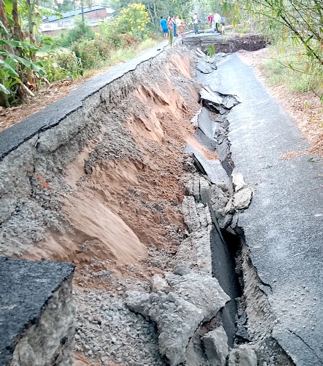 Đê biển Tây Cà Mau sụp lún kéo dài - ảnh 4