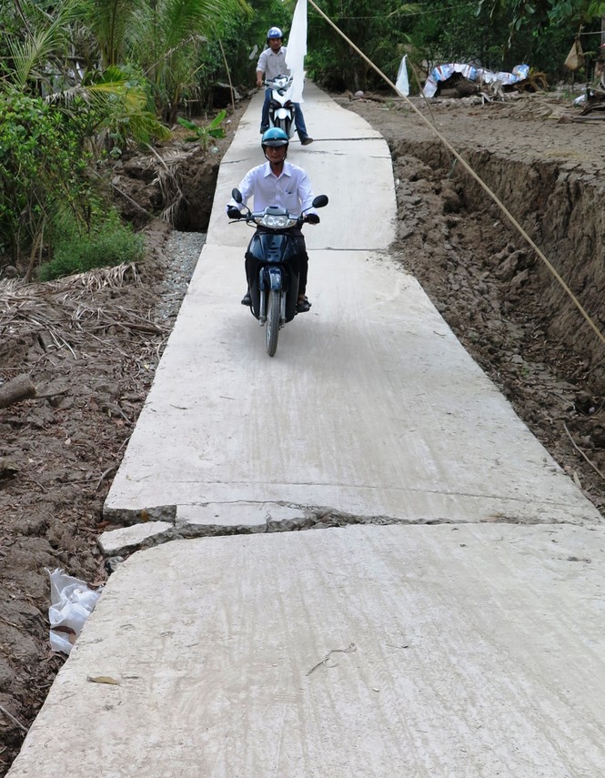 Sụt lún kinh hoàng vùng ngọt hoá Cà Mau - ảnh 5