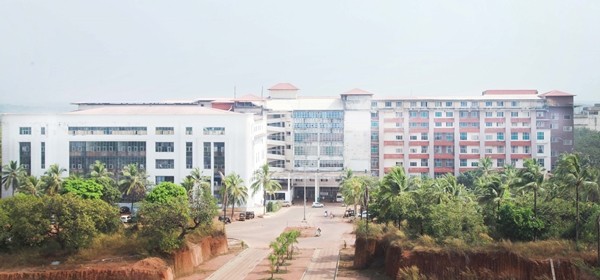 Bị ngã cây khi hái mít, vào viện điều trị thì lại dương tính với SARS-CoV-2 - ảnh 1
