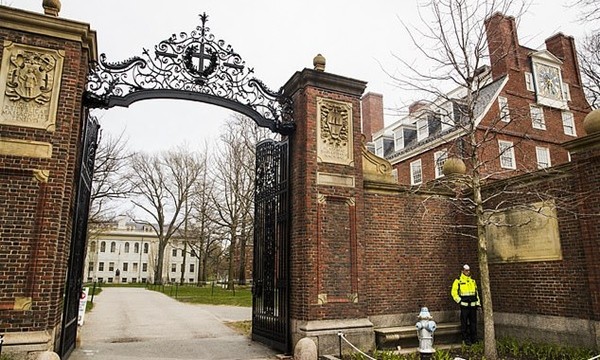 ĐH Harvard và Học viện MIT khởi kiện vì kế hoạch không cấp visa cho du học sinh học online - ảnh 3
