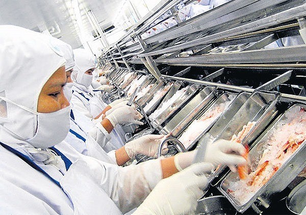 Ở nhiệt độ đông lạnh, SARS-CoV-2 có thể sống trên thịt, cá đến tận 21 ngày - ảnh 3