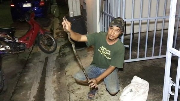 Thanh niên bị rắn cắn đúng chỗ “hiểm hóc” khi đang đi vệ sinh - chuyện như phim kinh dị - ảnh 3