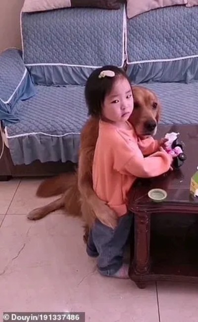 Chú chó bảo vệ cô bé bị mẹ mắng dễ thương thế này, tại sao lại bị cộng đồng mạng nghi ngờ? - ảnh 5