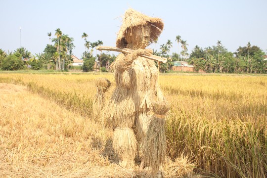 Sôi động tuổi thơ với lễ hội ngày mùa trên đồng ruộng - ảnh 16