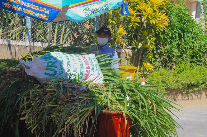 Khẩn trương tiếp tế lương thực cho…70 chú bò trong khu cách ly - ảnh 7