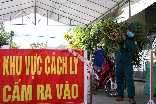 Khẩn trương tiếp tế lương thực cho…70 chú bò trong khu cách ly - ảnh 10