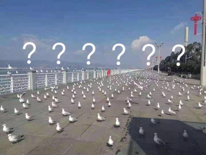 Đáng yêu