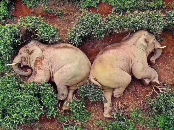 Đáng yêu
