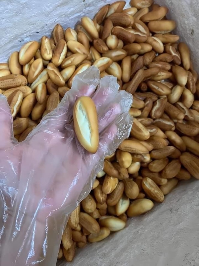 Mùa dịch COVID-19 không sợ