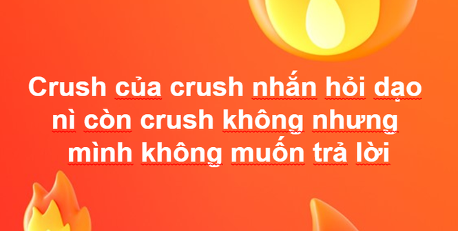 Hướng dẫn sử dụng một