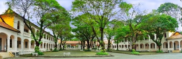 Nguy cơ tiềm ẩn ngã cây của loạt trường THPT có tuổi đời lâu tại TP.HCM - ảnh 5