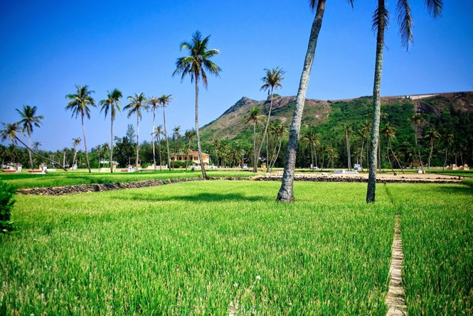 Bạn đã khám phá Đảo Lý Sơn -