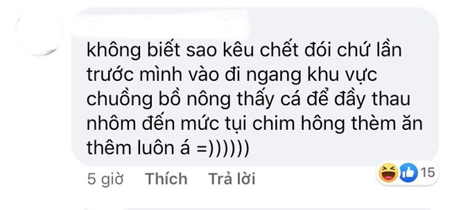 Thảo Cầm Viên Sài Gòn lên tiếng sau khi bị “tố” ngược đãi động vật - ảnh 6