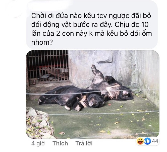 Thảo Cầm Viên Sài Gòn lên tiếng sau khi bị “tố” ngược đãi động vật - ảnh 7