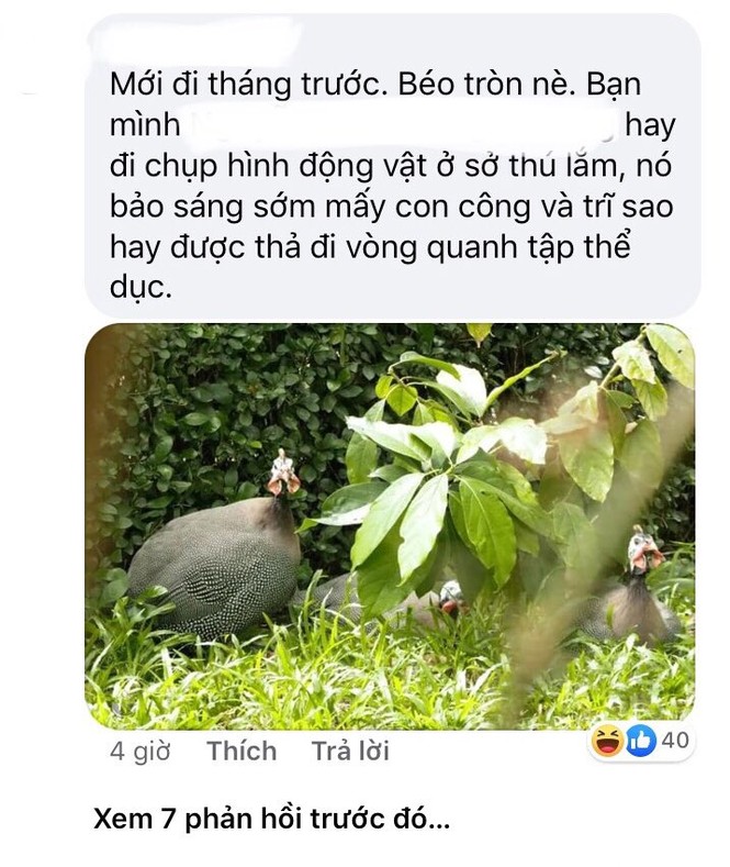 Thảo Cầm Viên Sài Gòn lên tiếng sau khi bị “tố” ngược đãi động vật - ảnh 8