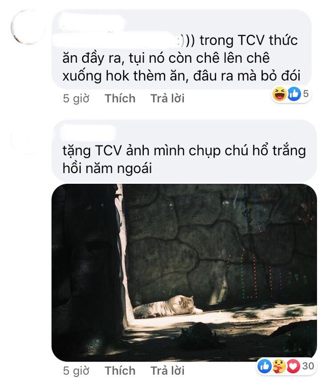 Thảo Cầm Viên Sài Gòn lên tiếng sau khi bị “tố” ngược đãi động vật - ảnh 9