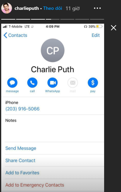 “Girlfriend Text me: (203) 916-5066”: Fan Charlie Puth đâu rồi? - ảnh 2