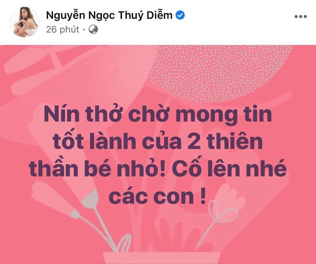 Các sao V-Biz gửi lời chúc tốt đẹp tới hai bé song sinh dính liền - ảnh 1