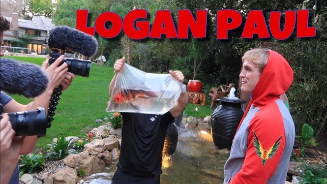 Một YouTuber nổi tiếng bị chỉ trích bạo loạn ở Mỹ, NTN Vlogs bỗng bị dân mạng réo tên - ảnh 5