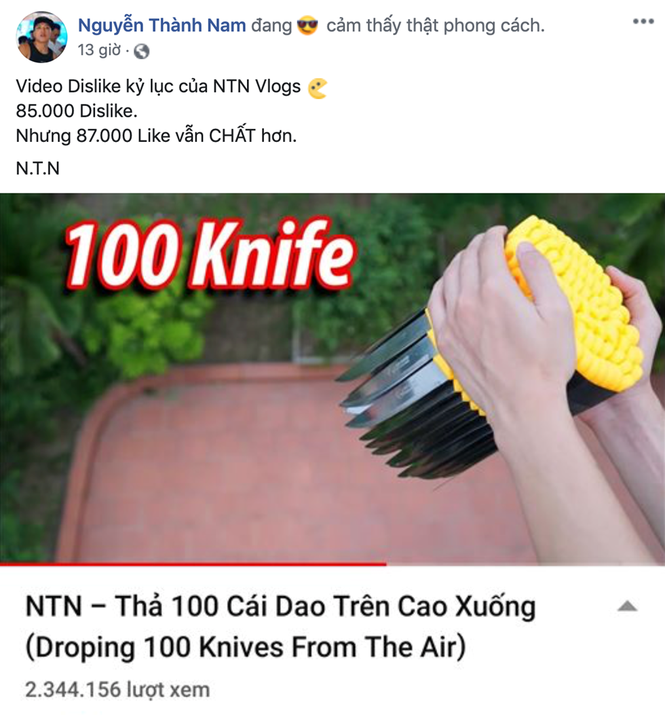Một YouTuber nổi tiếng bị chỉ trích bạo loạn ở Mỹ, NTN Vlogs bỗng bị dân mạng réo tên - ảnh 6