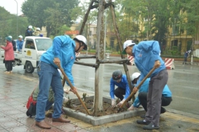Thái Bình lập 70 đội TNTN phòng chống dịch tả lợn Châu Phi - ảnh 3