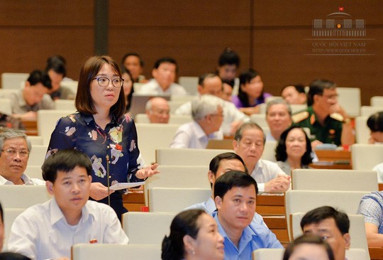 ĐBQH phẫn nộ trước bản án dâm ô trẻ em ở Vũng Tàu - ảnh 1