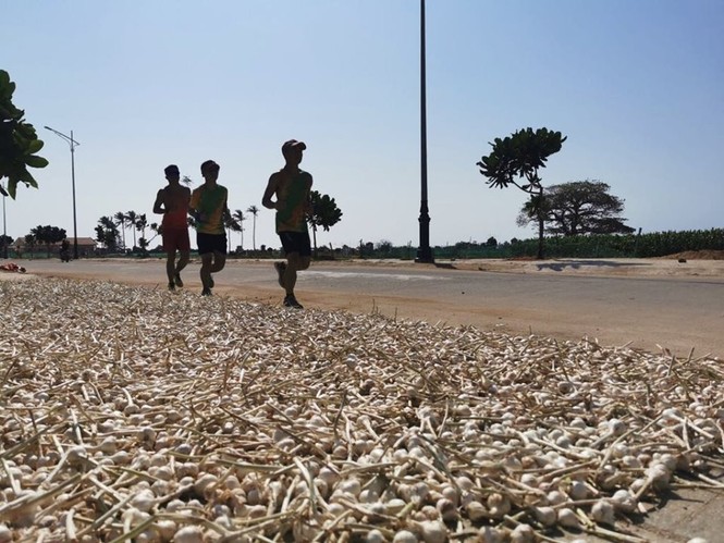 Tienphong Marathon 2020: Thử thách với cung đường biển Lý Sơn - ảnh 7