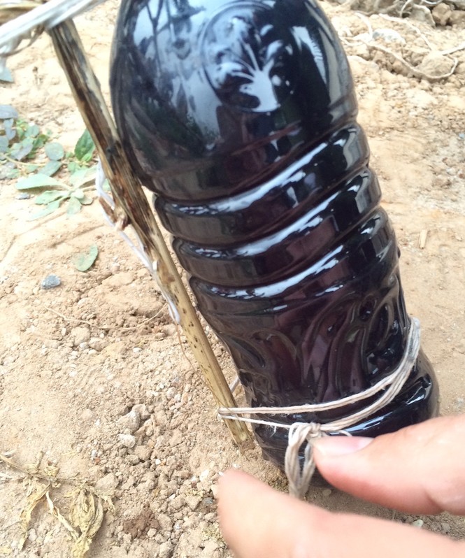 công ty trung quốc xả thải ra môi trường - ảnh 4