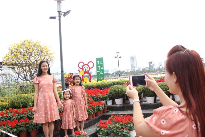 Đường hoa xuân Đà Nẵng hút nhiều “hội bạn tóc bạc” đến sớm - ảnh 12