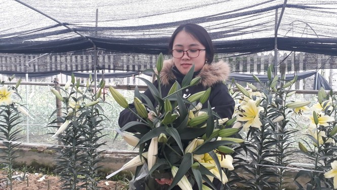 Bên trong vựa hoa lớn nhất Bắc Giang ngày giáp Tết - ảnh 5