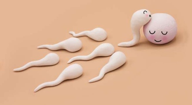 Liệu đồ ăn hàng ngày có khả năng làm thay đổi mùi của tinh dịch không? - ảnh 2