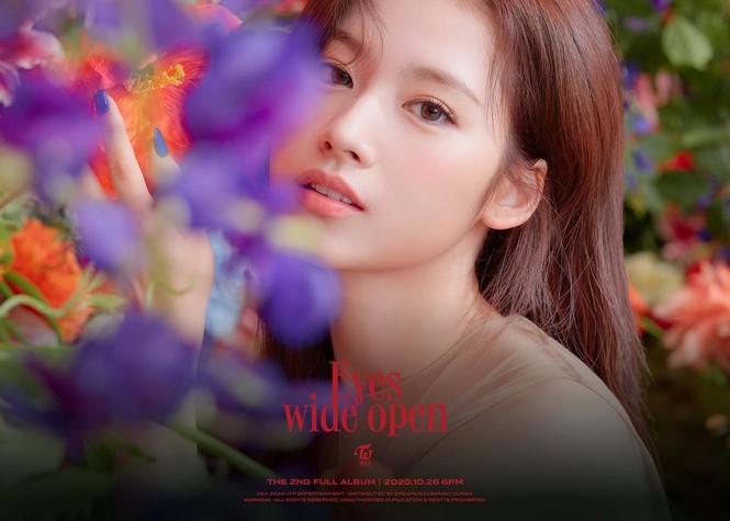 TWICE diện loạt váy đen đắt giá ở ảnh teaser album mới nhưng vẫn bị netizen Hàn chê bai - ảnh 8