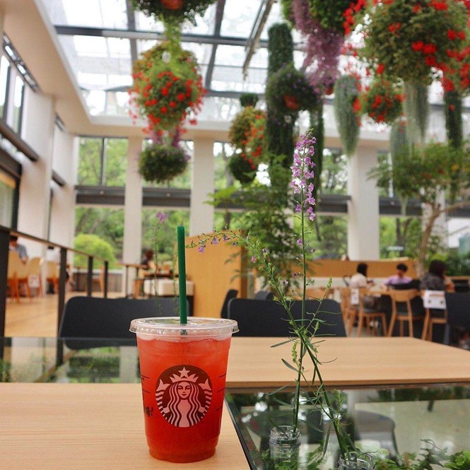 Bên trong cửa hàng Starbucks nhà kính ngàn hoa “đốn tim” các tín đồ sống ảo ở Nhật Bản - ảnh 9